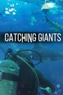 Catching Giants: Zambezi Shark