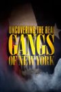 Uncovering the Real Gangs of New York