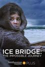 Ice Bridge: The Impossible Journey