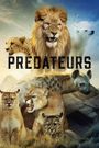 Predators