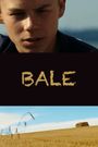 Bale