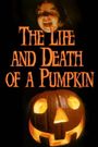 The Life & Death of a Pumpkin