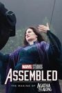 Marvel Studios: Assembled