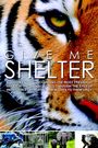 Give Me Shelter