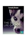 Secret Life of Dogs