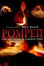 Pompeii: Life & Death in a Roman Town