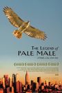 The Legend of Pale Male