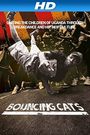 Bouncing Cats