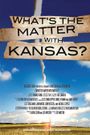 What's the Matter with Kansas?