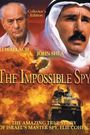 The Impossible Spy