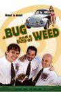 A Bug and a Bag of Weed