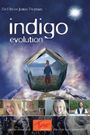 The Indigo Evolution