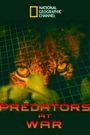 Predators at War