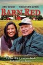 Barn Red