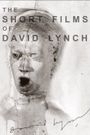 The Short Films of David Lynch