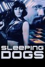 Sleeping Dogs