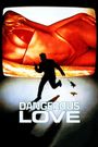 Dangerous Love