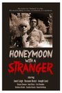 Honeymoon with a Stranger