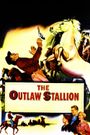 The Outlaw Stallion