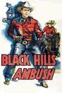 Black Hills Ambush