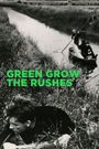 Green Grow the Rushes