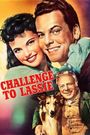 Challenge to Lassie