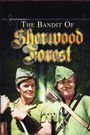 The Bandit of Sherwood Forest