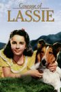 Courage of Lassie