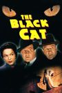 The Black Cat