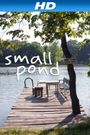 Small Pond