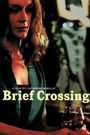 Brief Crossing