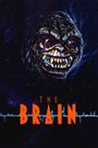 The Brain