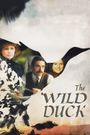 The Wild Duck