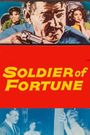 Soldier of Fortune