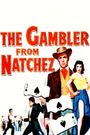 The Gambler from Natchez