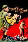 Three Came Home