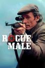 Rogue Male