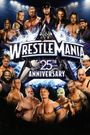 The 25th Anniversary of WrestleMania