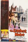 The Littlest Hobo