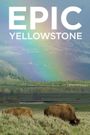 Epic Yellowstone