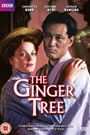 The Ginger Tree