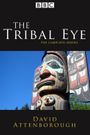 The Tribal Eye