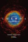 Cosmos: Possible Worlds