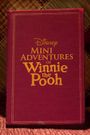 Mini Adventures of Winnie the Pooh