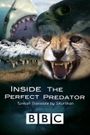 Inside the Perfect Predator