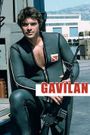 Gavilan