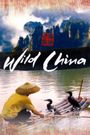 Wild China