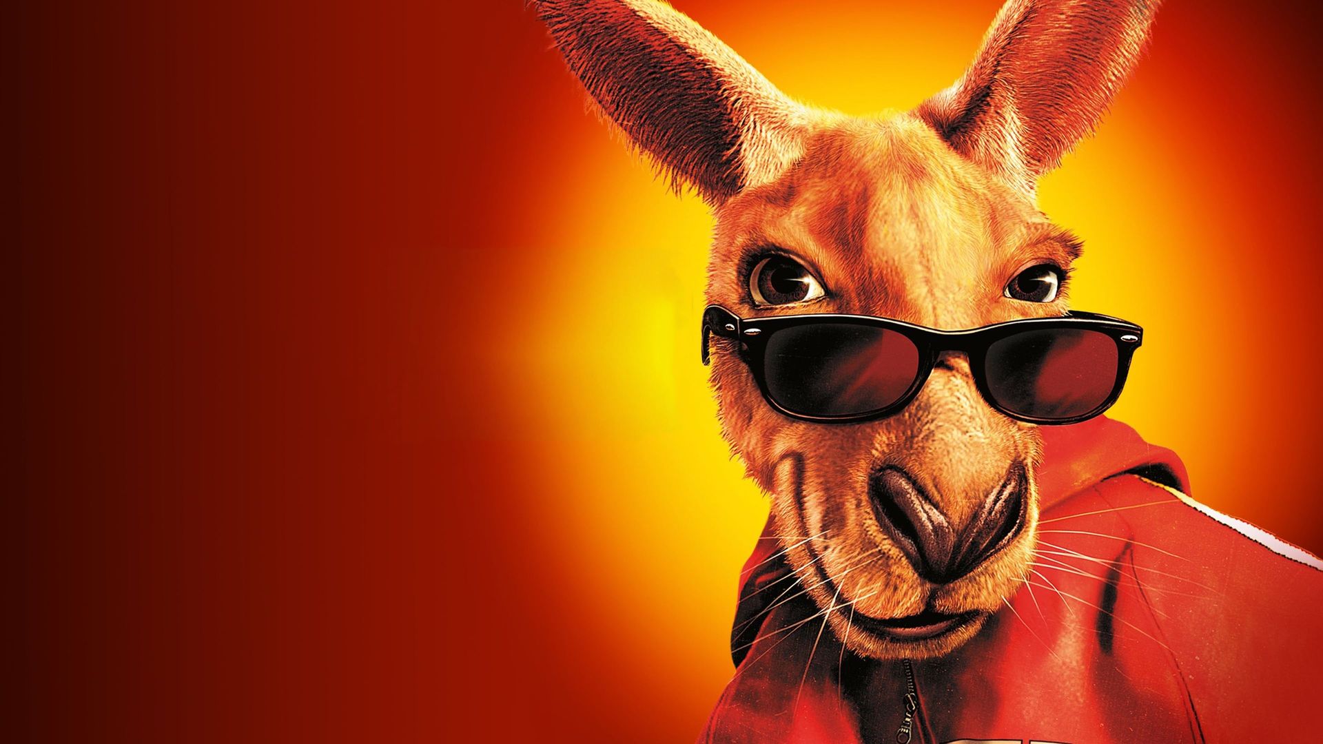 Kangaroo Jack background