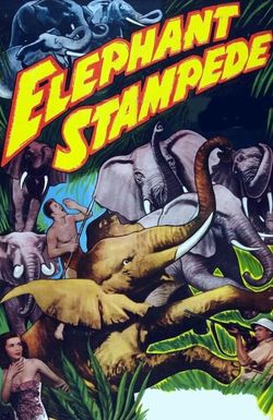 Elephant Stampede