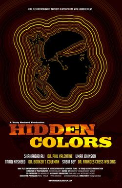 Hidden Colors